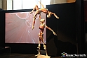 VBS_2827 - Mostra Body Worlds